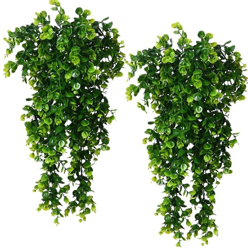 String Of Pearls Plant - 1Pcs 인공 5 포크 등나무 유칼립투스