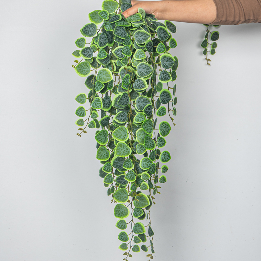 String Of Pearls Plant - 60-80cm 인공 매달려 덩굴 열 대