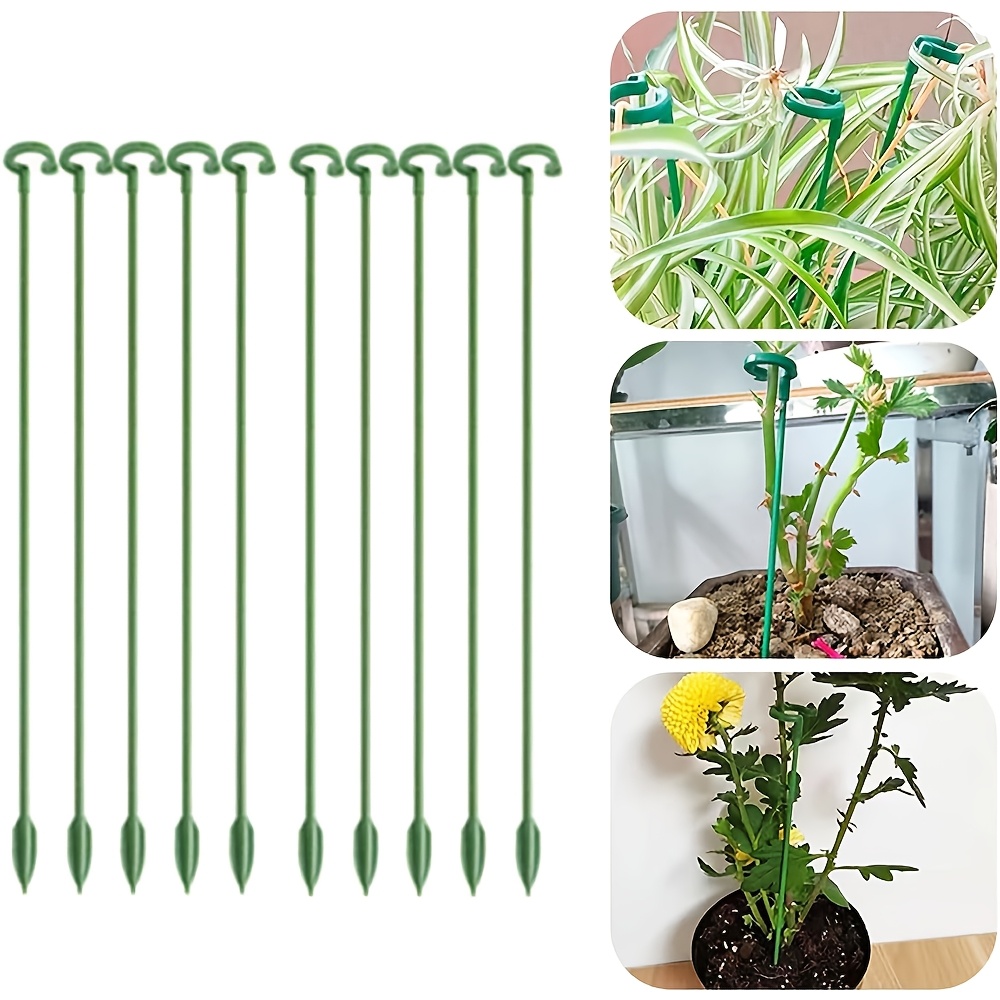 Monstera Thai Constellation - 5/10PCS 식물 지지대 스탠드 나비 난초