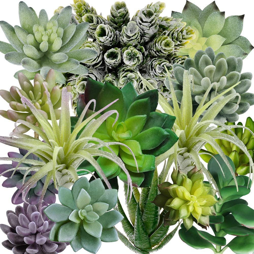 String Of Pearls Plant - 15팩 모듬 인조 다육식물 화분 없는