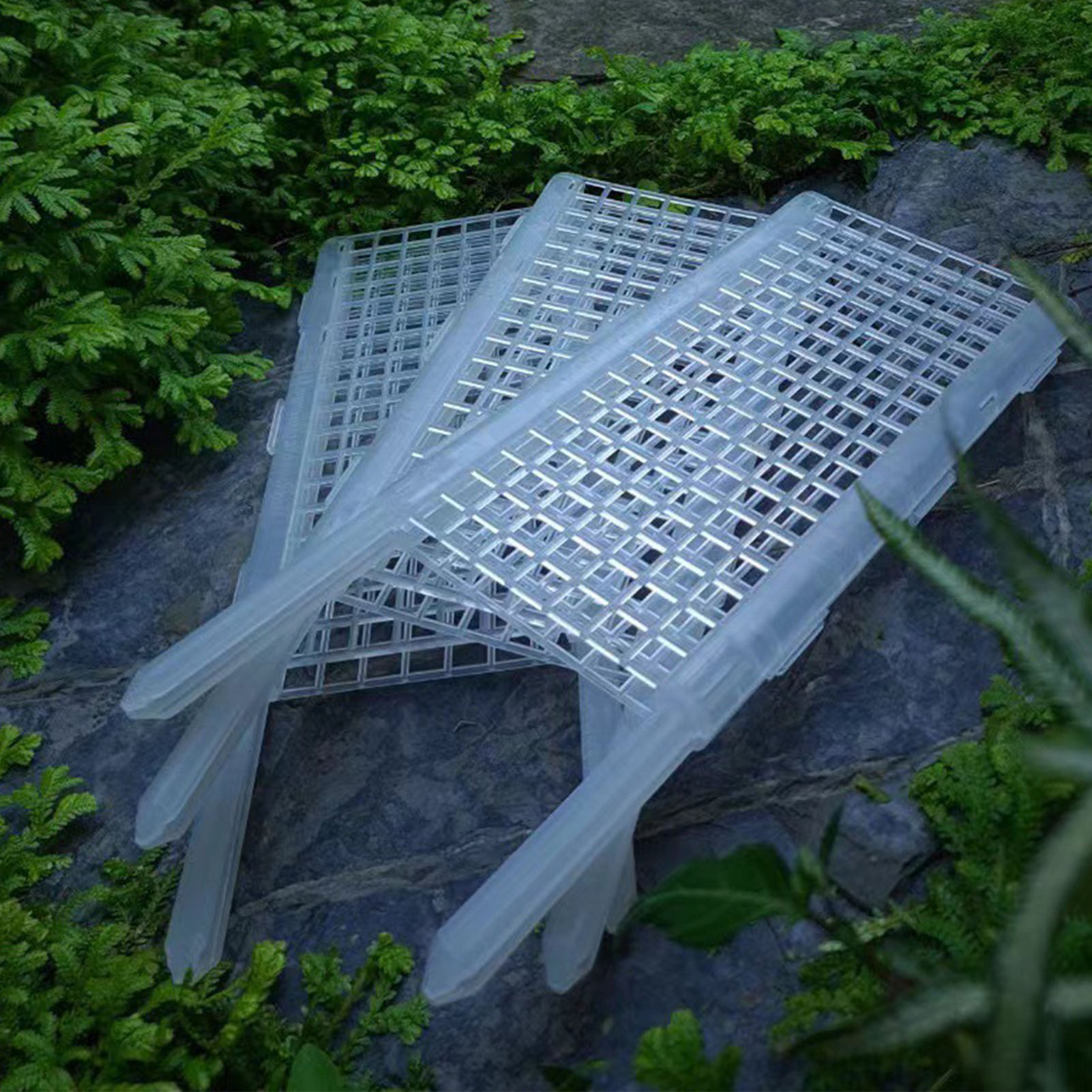 식물 식물용 플라스틱 이끼 막대, 지지대 중공 이끼 막 - Monstera Thai Constellation 리뷰 및 가격