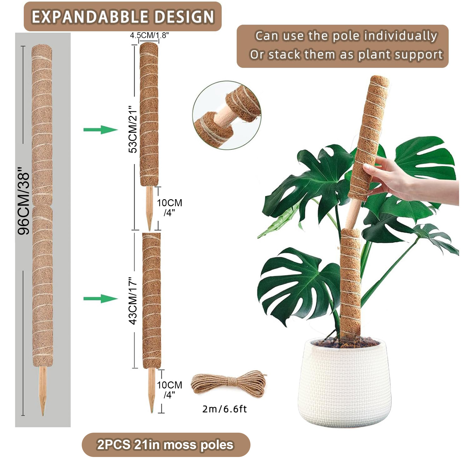 모스 폴 38/43/53CM 몬스테라 식물 지지대 쌓을 - Monstera Thai Constellation 리뷰 및 가격