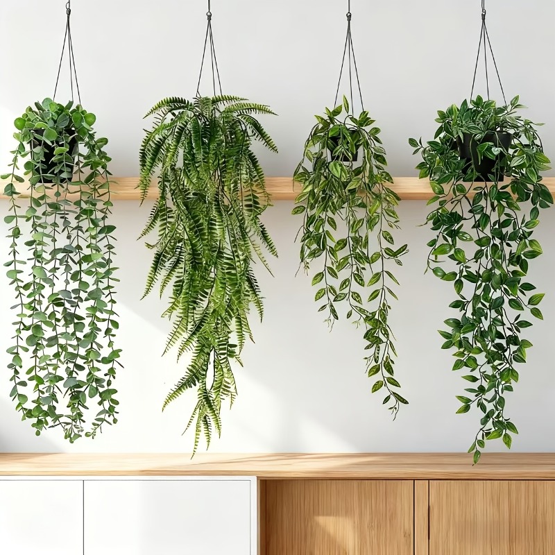 4개입 걸이형 녹색 식물 세트, 웨딩, 사무실, 거실, - String Of Pearls Plant 리뷰 및 가격