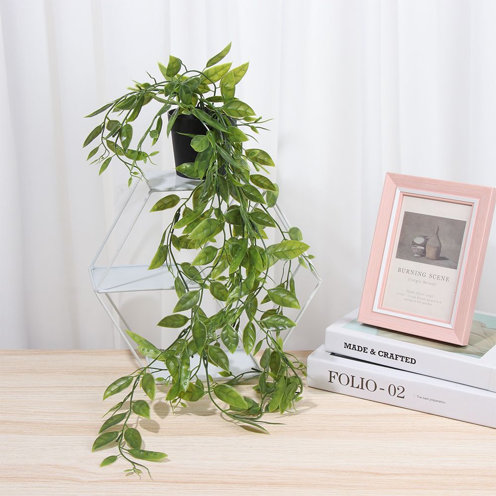 냄비와 인공 매달려 식물 가짜 식물 매달려 덩굴 선반  - String Of Pearls Plant 리뷰 및 가격