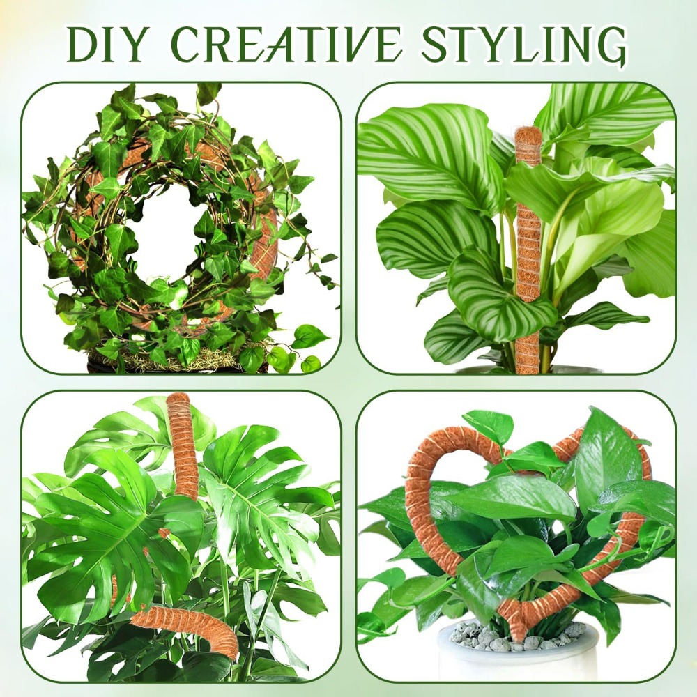30-100cm 구부릴 수 있는 식물 등반 지지대 이끼 - Monstera Thai Constellation 리뷰 및 가격