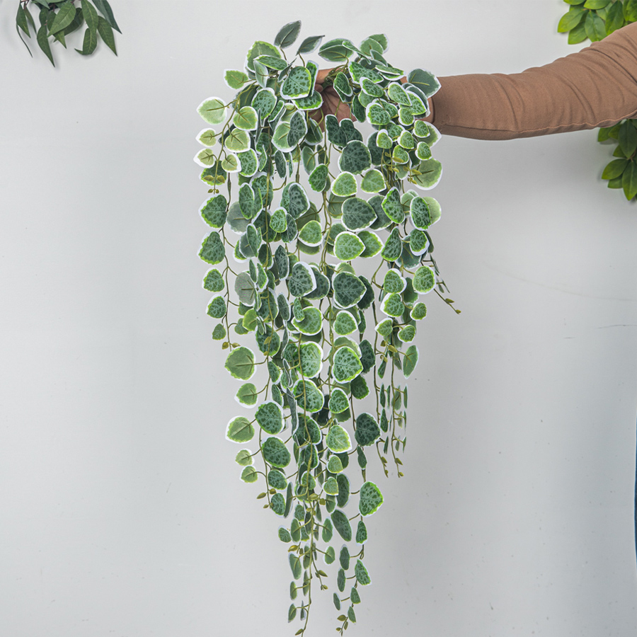 60-80cm 인공 매달려 덩굴 열 대 유칼립투스 식물 - String Of Pearls Plant 리뷰 및 가격