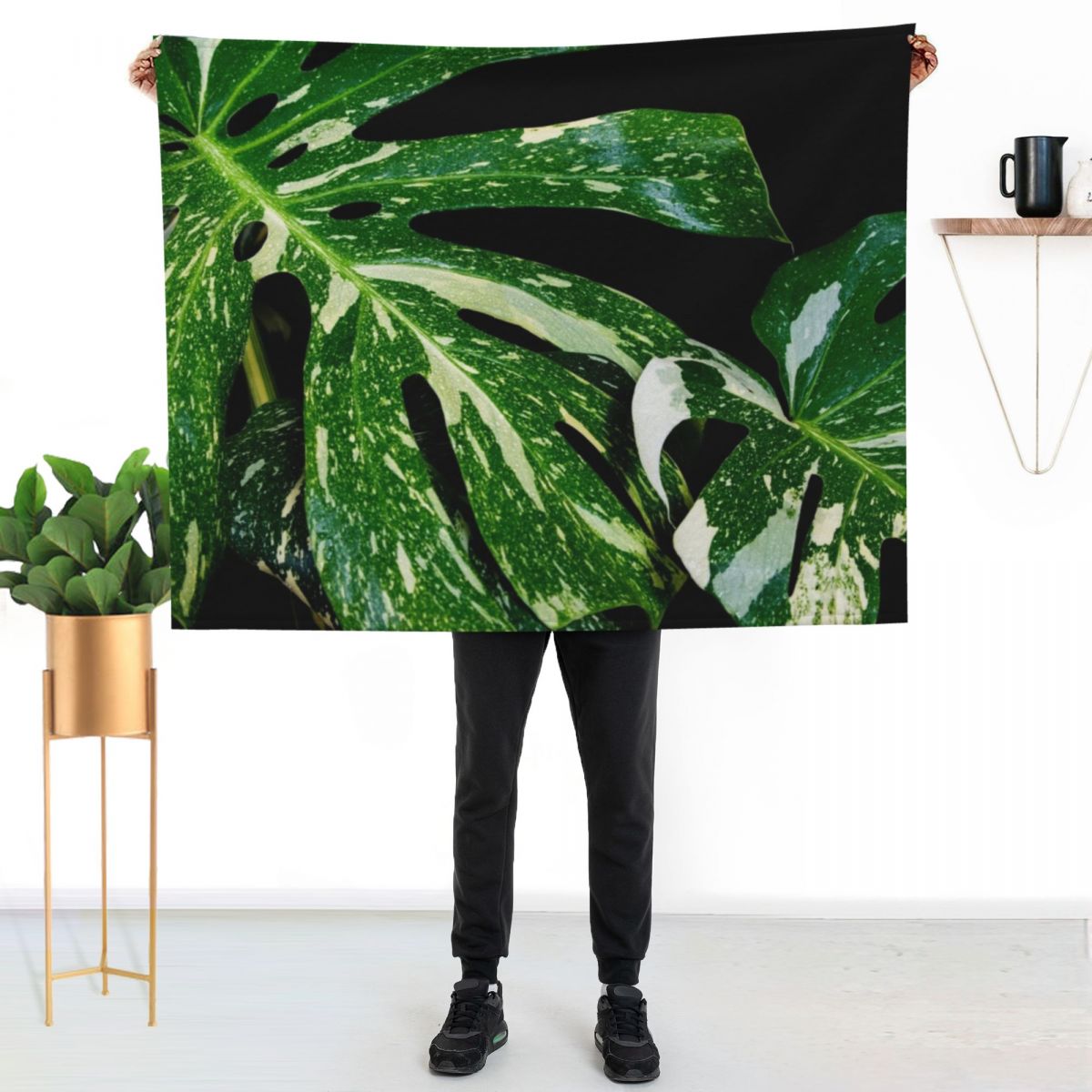 몬스테라 타이 별자리 무늬 담요, 아기용 소파, 고급  - Monstera Thai Constellation 리뷰 및 가격