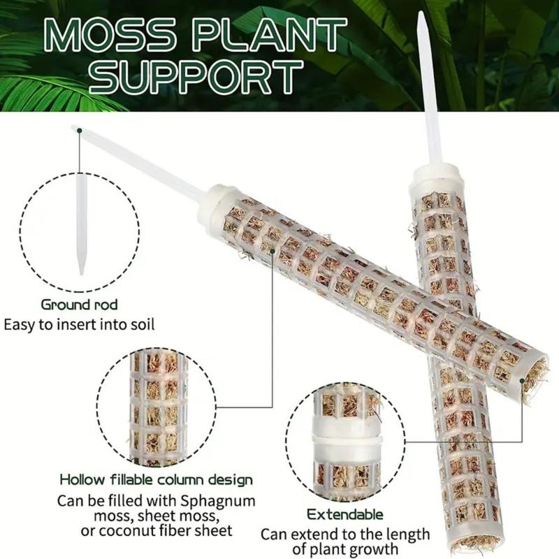 식물 등반 프레임 확장형 식물 이끼 지지대 2가지 사이 - Monstera Thai Constellation 리뷰 및 가격
