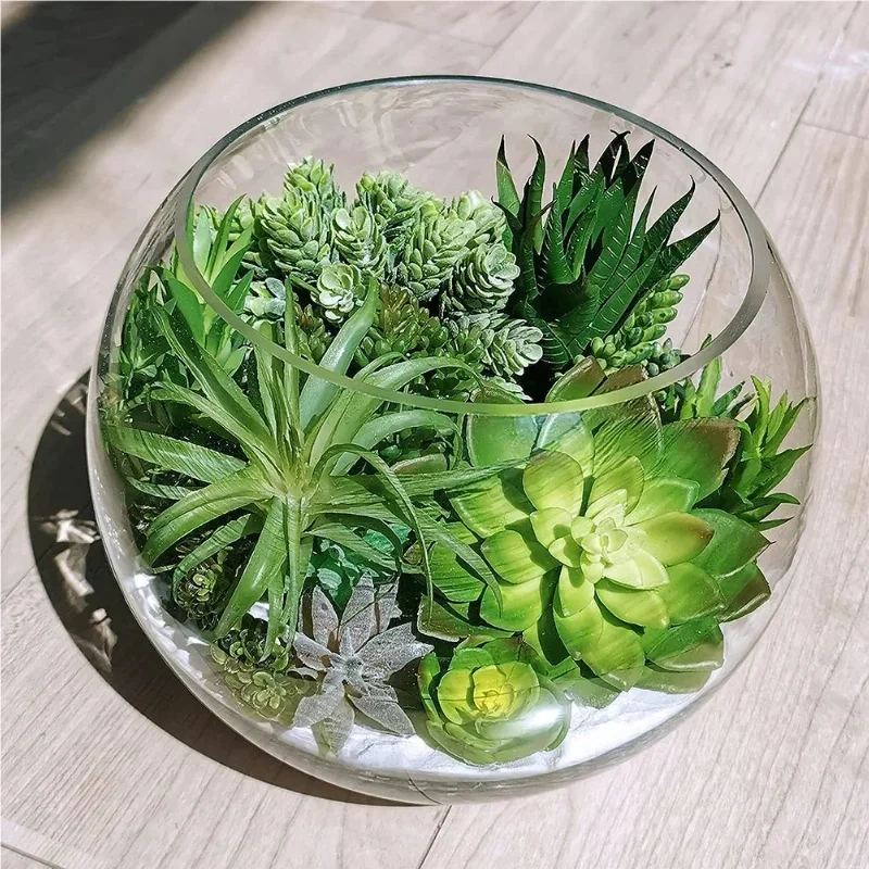 10/20Pcs PVC 다육 식물 가정 정원을위한 녹색 - String Of Pearls Plant 리뷰 및 가격